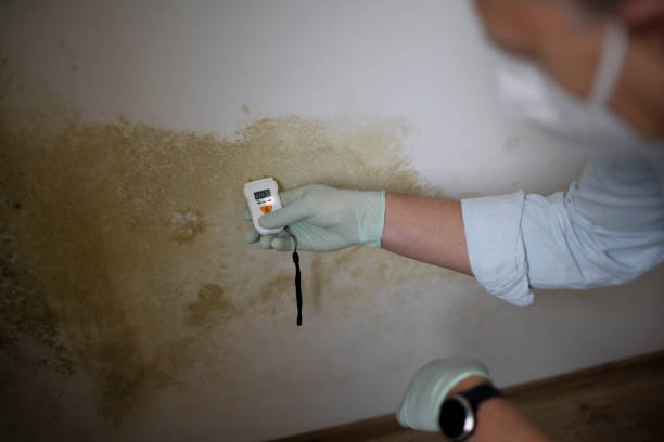Schlusser, PA Mold Remediation Company